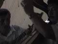 Daily Harp Moments-Joropocriollo Daily Harp Moments-Joropocriollo