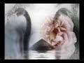 Video portrait