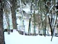 Snowmobile Michigan \ Snowmobile Michigan \