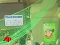 Raw Video: Monkey on the Loose in Japan