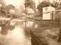 videos de A day out at the Kenilworth Duck Race 2008
