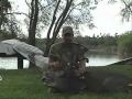 Venado Mario (cazarco)