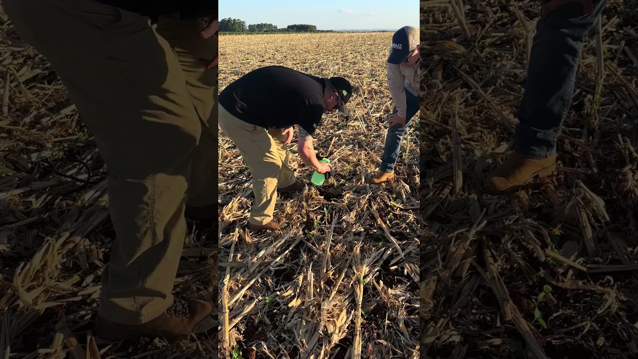 Instalação da sonda BRSense