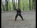 stas  2 line tai chi chen shi