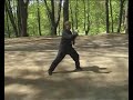 stas  2 line tai chi chen shi
