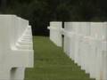 EL BOSQUE BLANCO - Recordando a los heroes