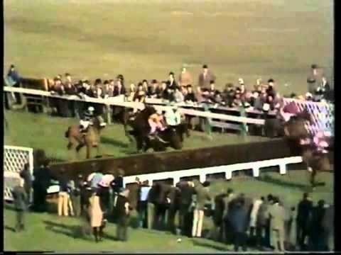 cheltenham gold cup