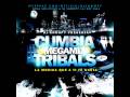 DJ SNOOPY - CUMBIA TRIBALS MEGAMIX 2010