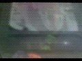 VIDEO DESTROYERS # 6 TINO PARATORE  feat. I TRENI ALL'ALBA: 