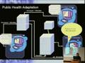 Creating a Public Health Affinity Domain for the Middle East