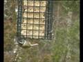 videos de Crested Tit on Haith's Suet Blocks