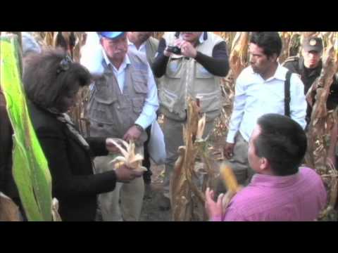 how to reduce hunger