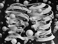 ESCHER II ESCHER II