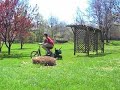 fast tricycle