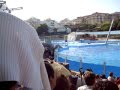 Lucia Aguadulce en Selwo Marina con los delfines
