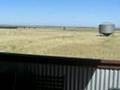 GAV 'S BACKYARD