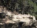 Walk to Tengboche: Part 1 - Nov 9 Walk to Tengboche: Part 1 - Nov 9