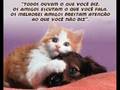 SMA's além du pá sempre!!