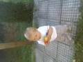 Davud