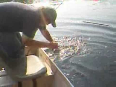 Action Angling Sept 19th