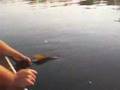 Action Angling Sept 19th