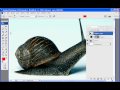 Adobe Photoshop CS3 Tutorial: Pentool Vectoring