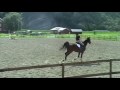 videos de Treningsstevne/banehopping 30. juni 2009