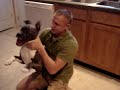 THE PITBULL HUNTER Icon