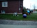 Excersize Ball (FUNNY)!