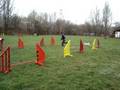 videos de Tiko Agility Training