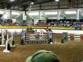 more riding from raleigh grand prix on november 14 2009