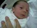 Amelie