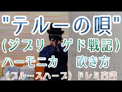 動画