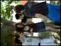 videos de mi amor mi sol mi perdicion.