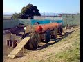 paint ball - vitoria equipe Alpha