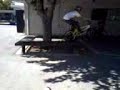 bunny hop
