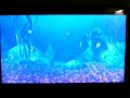 Tetris Splash Aquarium Tetris Splash Aquarium