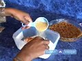 Low Fat Holiday Recipes : Low Fat Eggnog Cream Pie Recipe