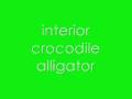 interior crocodile alligator. (FULL SONG).