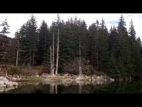 For Sale - Join Alaska Man George and Alaska Woman Jill Davis on their Real Adventures in the Wilds of Alaska~ http://www.alaskawildadventures.tv.