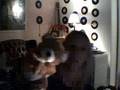 HUGS FOR JACEY