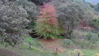 NO Fukkinspiration...