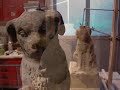 Restauration Hundlesbrunnen Bretten