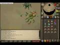 destroying kq