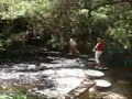 Yarra River at East Warburton
