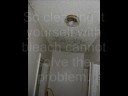 Water Damage Orlando