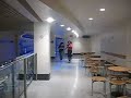 Xaashe - Wildife @ Plaza