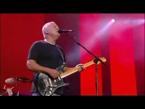 Pink Floyd - Comfortably Numb (Live 8).mp4