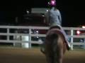 Standardbred Kid Child Broke Horse For Sale English Jumping Pole Bending