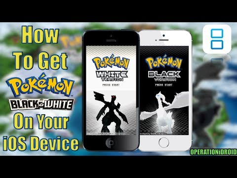 how to fix pokemon black no exp